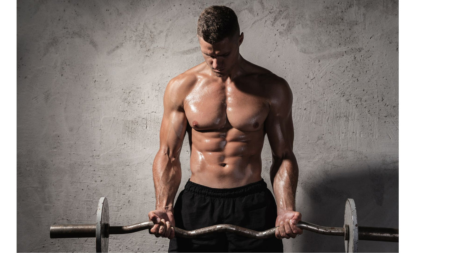 Multibell™ - Bundle - Langhantel + Kettlebell